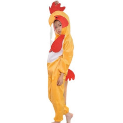Chicken costume for kids