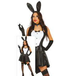 Women's Zuikucio Costume