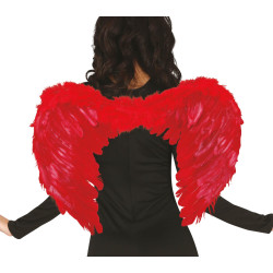 Red Feather Wings, 60x50 cm